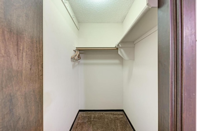 6606 Lancret Hill Dr, Austin, TX 78745 - spacious closet featuring carpet flooring