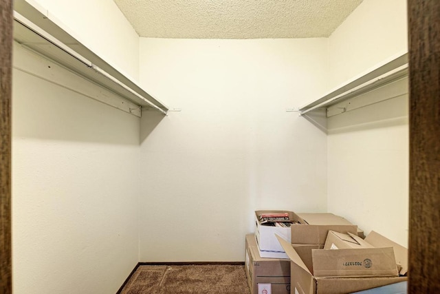 6606 Lancret Hill Dr, Austin, TX 78745 - spacious closet with carpet flooring