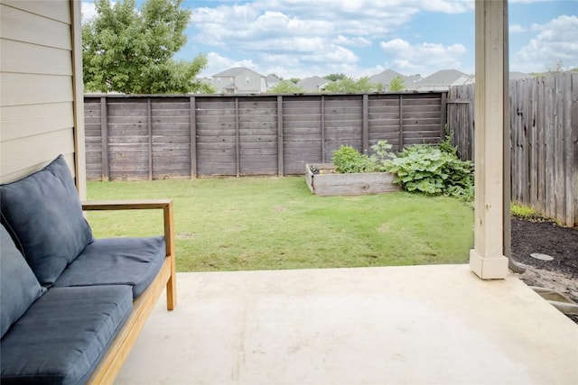 114 Creek Hollow Dr, Hutto, TX 78634 - fenced backyard featuring a patio area and a garden
