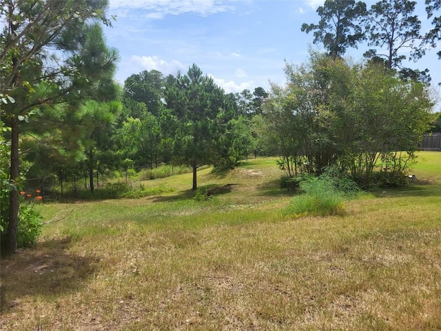 236 Makaha Dr, Bastrop, TX 78602 - photo 38