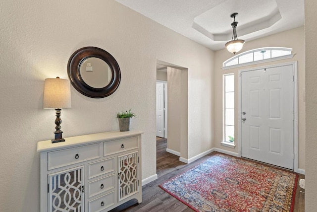 1111 Whitley Dr, Leander, TX 78641 - foyer featuring plenty of natural light, dark wood finished floors, and a raised ceiling