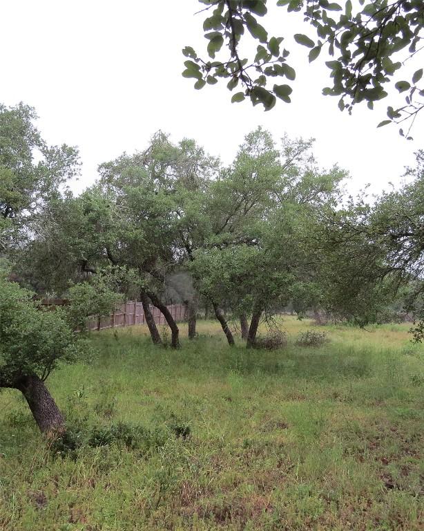12 Pecos Dr, Wimberley, TX 78676 - photo 1