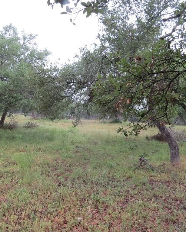 12 Pecos Dr, Wimberley, TX 78676 - photo 2