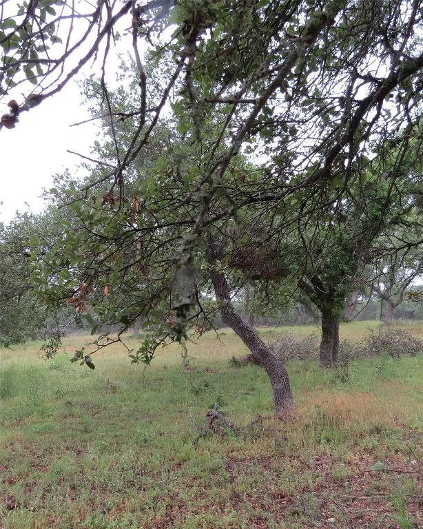 12 Pecos Dr, Wimberley, TX 78676 - photo 3