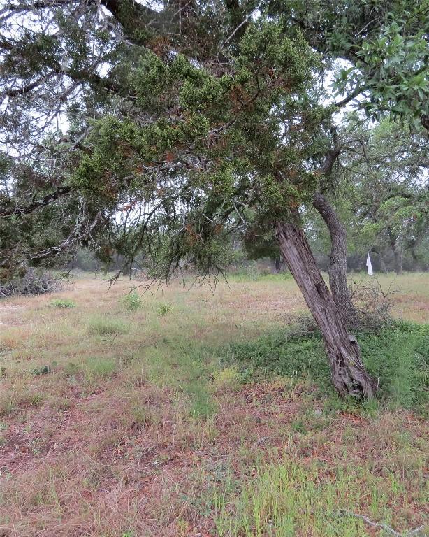 12 Pecos Dr, Wimberley, TX 78676 - photo 6
