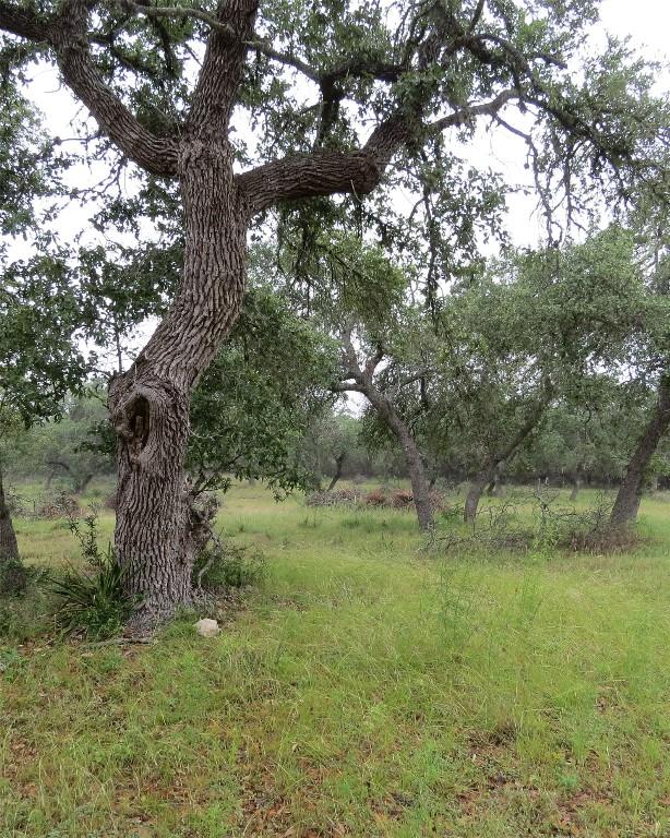 12 Pecos Dr, Wimberley, TX 78676 - photo 12