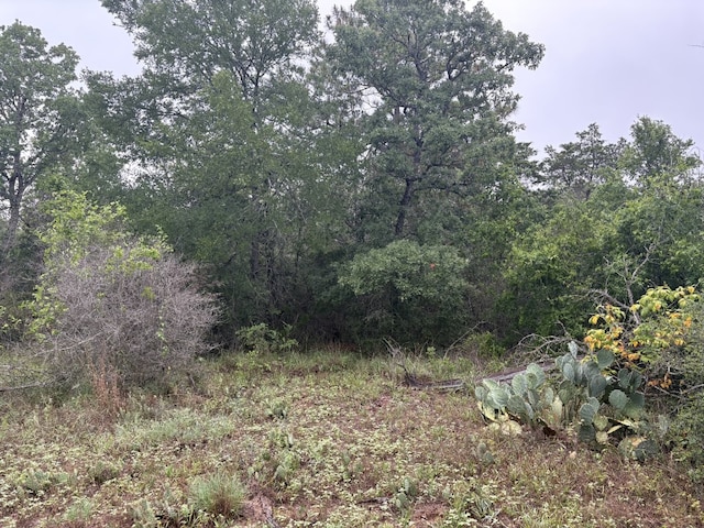 TBD Hanauma Dr, Bastrop, TX 78602 - photo 8