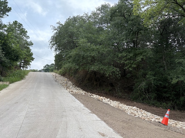 TBD Hanauma Dr, Bastrop, TX 78602 - photo 4