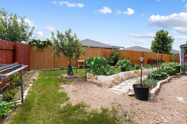 296 Blooming Trl, Kyle, TX 78640 - fenced backyard featuring a vegetable garden