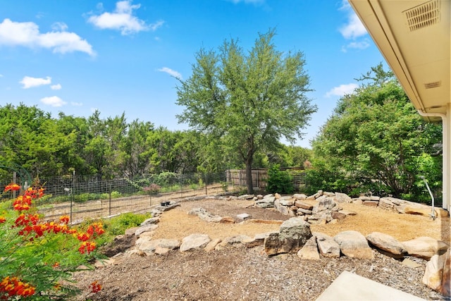 1403 Adam Ave, Burnet, TX 78611 - view of yard