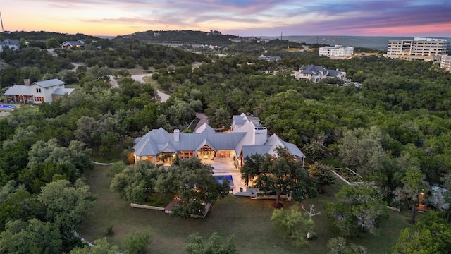 601 Crystal Creek Dr, Austin, TX 78746 - view from above of property