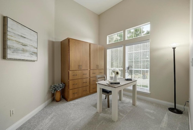 250 Lexington Dr, Austin, TX 78737 - home office with a high ceiling, light carpet, and plenty of natural light