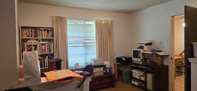 4504 Tamarack Trl, Austin, TX 78727 - photo 16