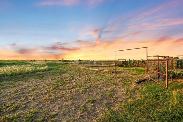 2101 County Road 469, Thrall, TX 76578 - photo 28
