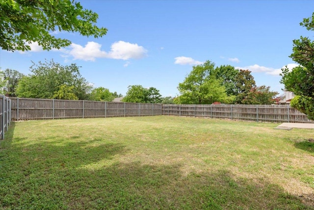 1811 Indian Summer Pass, Round Rock, TX 78665 - view of fenced backyard