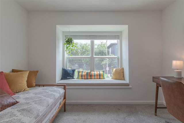 3604 Clawson Rd Unit 204, Austin, TX 78704 - photo 28