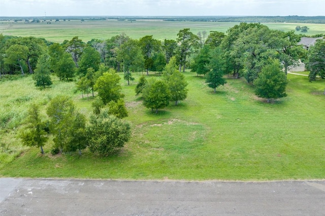172 Riverwalk Ln, Bastrop, TX 78602 - photo 4