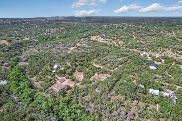 4701 Little Creek Trl, Spicewood, TX 78669 - photo 5