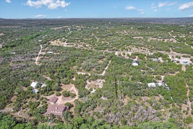 4701 Little Creek Trl, Spicewood, TX 78669 - photo 6