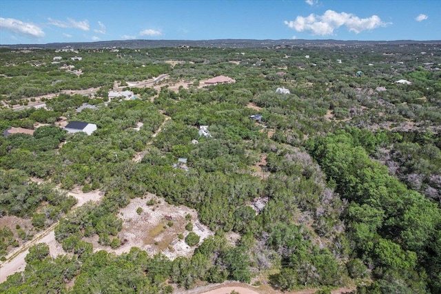 4701 Little Creek Trl, Spicewood, TX 78669 - photo 9