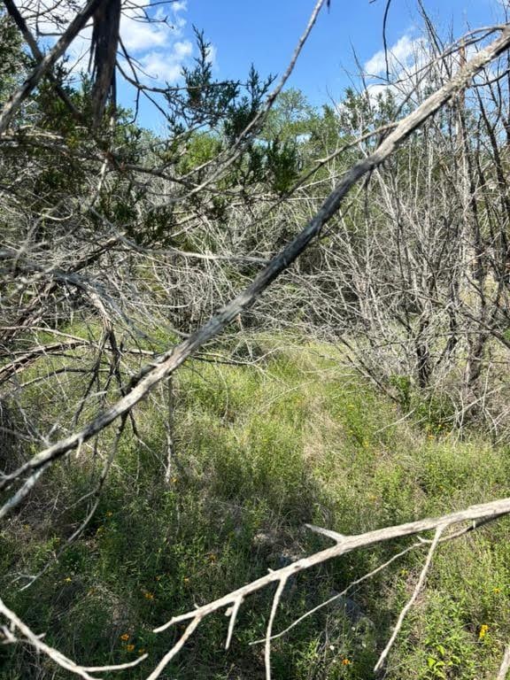 4701 Little Creek Trl, Spicewood, TX 78669 - photo 13