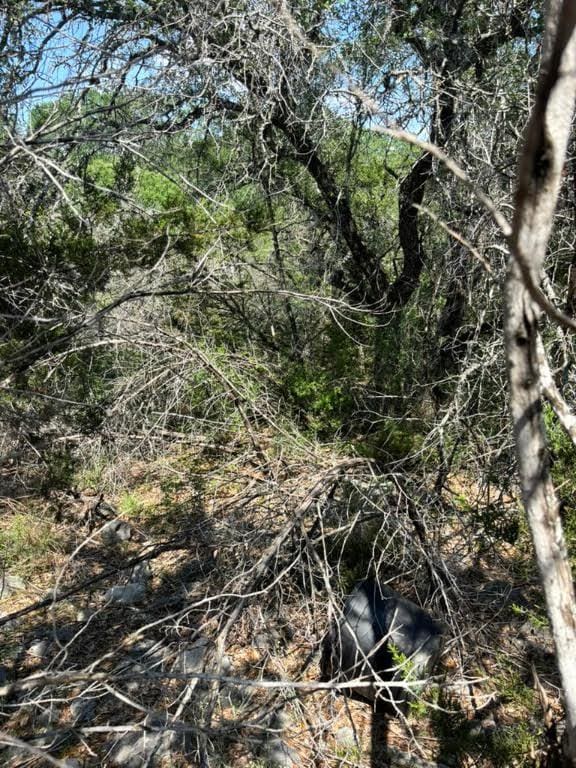 4701 Little Creek Trl, Spicewood, TX 78669 - photo 15