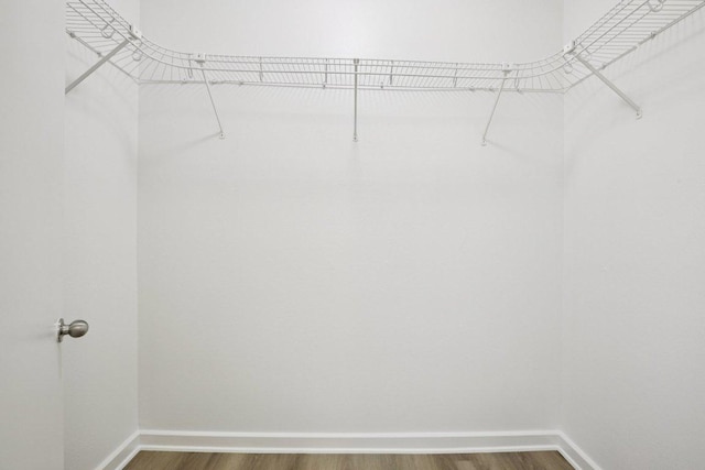 1201 Grove Blvd Unit 1502, Austin, TX 78741 - spacious closet featuring dark wood-style flooring