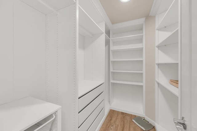 815 Clarence Bohls Ln, Pflugerville, TX 78660 - walk in closet featuring light wood-type flooring