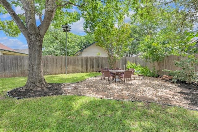 815 Clarence Bohls Ln, Pflugerville, TX 78660 - fenced backyard with a patio area