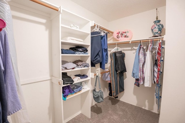8086 Thaxton Rd, Austin, TX 78747 - walk in closet featuring carpet floors