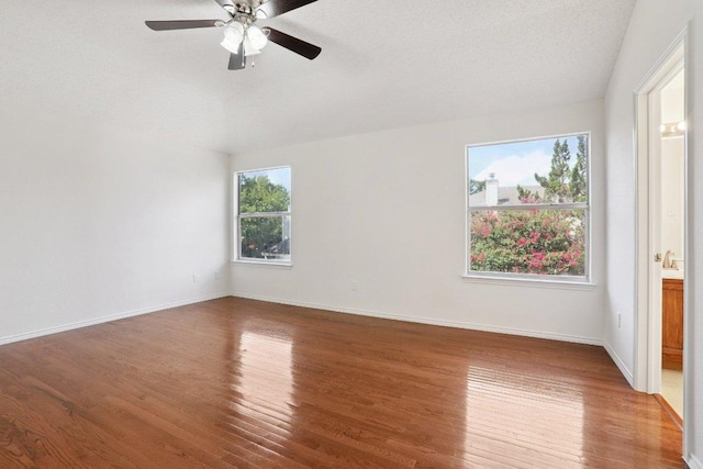 13302 Black Canyon Dr, Austin, TX 78729 - photo 20