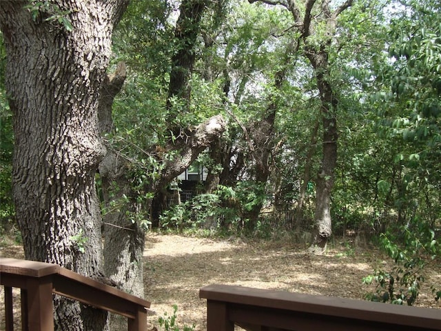 18311 Redbud Ln, Jonestown, TX 78645 - photo 9