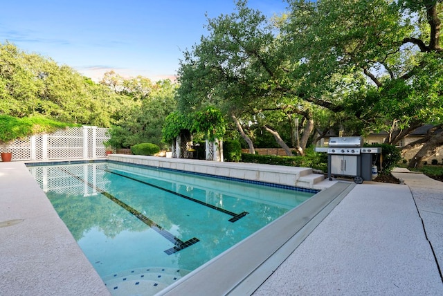 10839 Redmond Rd, Austin, TX 78739 - view of pool featuring grilling area