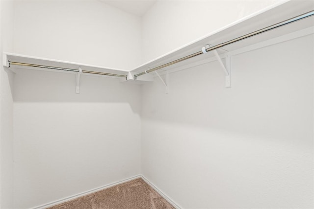 14504 James Buchanan St, Manor, TX 78653 - photo 19