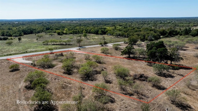 4049 Old Colony Line Rd, Dale, TX 78616