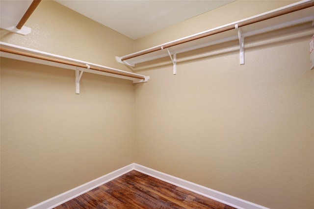 136 Holmstrom St, Hutto, TX 78634 - walk in closet featuring dark wood-style floors