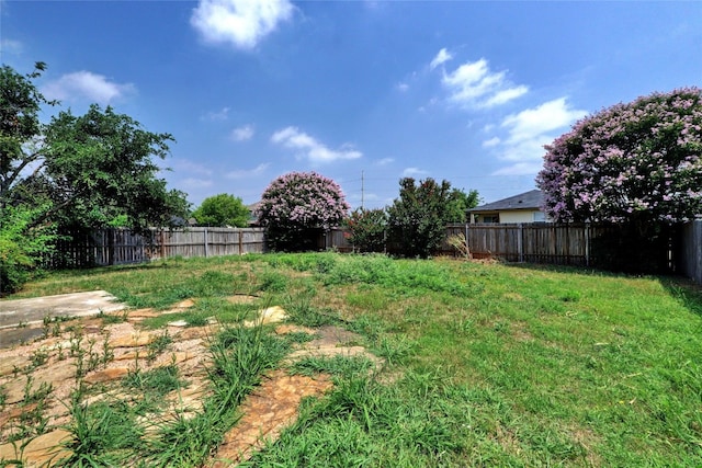 136 Holmstrom St, Hutto, TX 78634 - view of fenced backyard