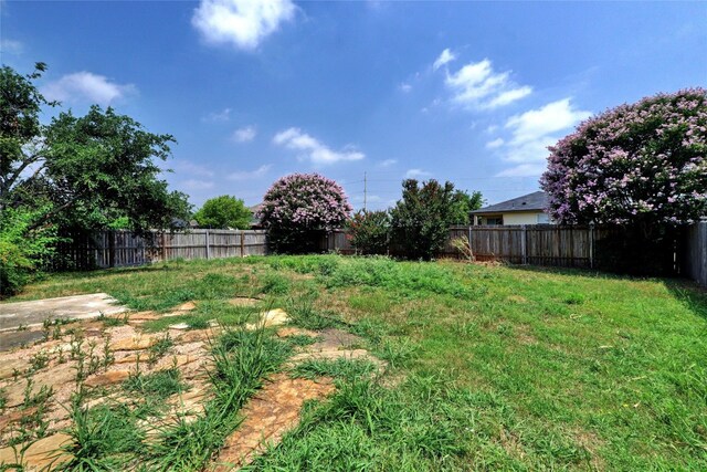 136 Holmstrom St, Hutto, TX 78634 - photo 22