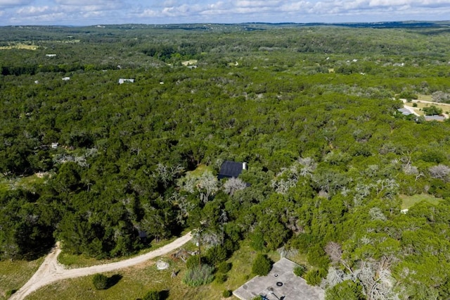 110 Windy Ridge Ln, Wimberley, TX 78676 - photo 22