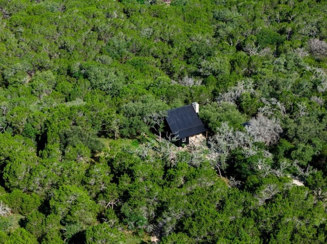 110 Windy Ridge Ln, Wimberley, TX 78676 - photo 2