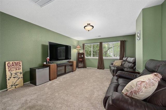 4004 Callabero Cv, Round Rock, TX 78681 - living room with carpet and a textured ceiling