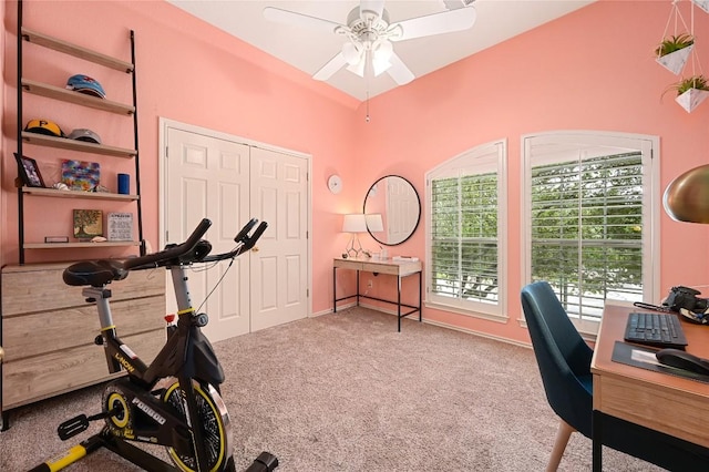 4004 Callabero Cv, Round Rock, TX 78681 - exercise room with a ceiling fan and carpet flooring