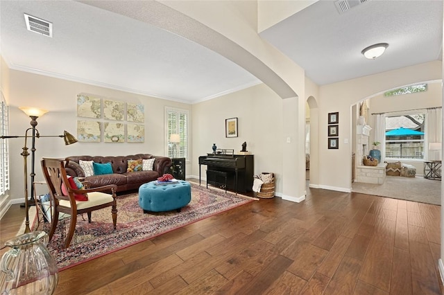 4004 Callabero Cv, Round Rock, TX 78681 - living area featuring arched walkways, dark wood-style flooring, and crown molding