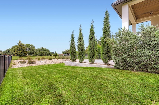 321 Cimarron Hills Trl E, Georgetown, TX 78628 - view of yard