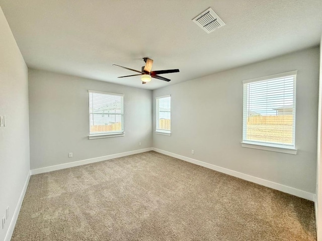 391 Backstays Loop, Kyle, TX 78640 - photo 10