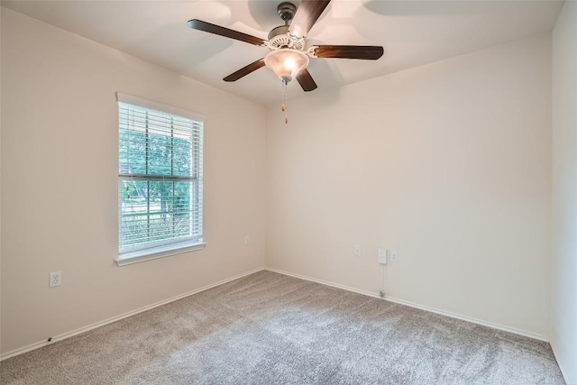 6905 Crestone Rd, Austin, TX 78744 - photo 19