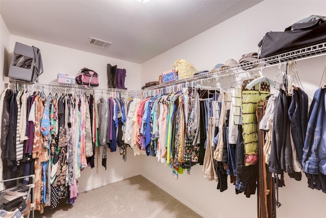 1312 Kothman Dr, Hutto, TX 78634 - walk in closet featuring carpet flooring