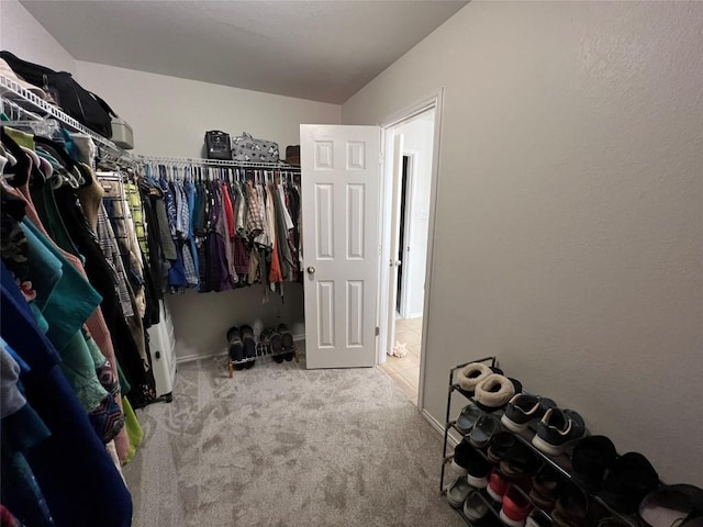 1312 Kothman Dr, Hutto, TX 78634 - spacious closet featuring carpet flooring