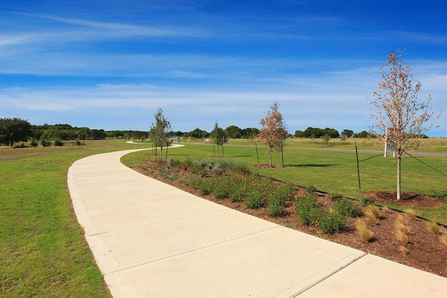 431 Dogvane Cir, Kyle, TX 78640 - photo 22