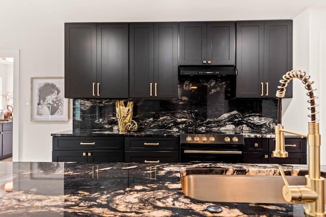 8401 Persimmon Grv, Austin, TX 78737 - kitchen with under cabinet range hood, black range with gas cooktop, decorative backsplash, and dark stone counters